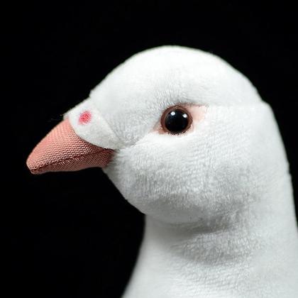 Imagem de Simulação bonito pombo branco pelúcia brinquedo