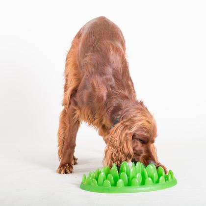 Imagem de Slow Feeder Dog Bowl Company of Animals GREEN para cães grandes