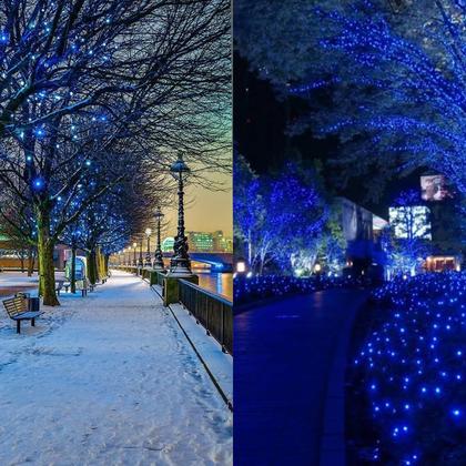 Imagem de Solar String Lights KAQ Upgrade, pacote com 2, 180 m, 500 LED, azul