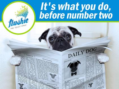 Imagem de Spray pré-higiênico Flushie Travel Size Bathroom 120 ml, pacote com 3