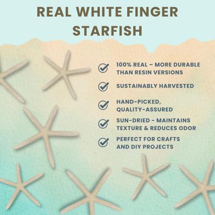 Imagem de Starfish Decor Nautical Crush, pacote com 30 peças de artesanato branco de 7,5 a 10 cm