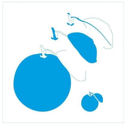 Imagem de Stencil Pintura Laranja Stxx-216 20x20cm Litoarte