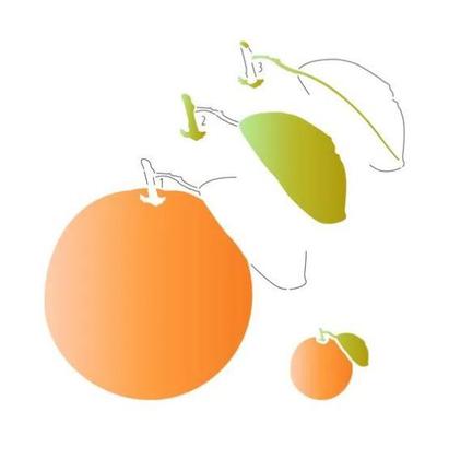 Imagem de Stencil Pintura Laranja Stxx-216 20x20cm Litoarte