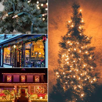 Imagem de String Lights Brightown 100 lâmpadas de 8 m de fio verde 120V