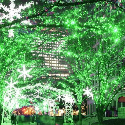Imagem de String Lights HOME LIGHTING 200 LED 20m verde 8 modos 110V