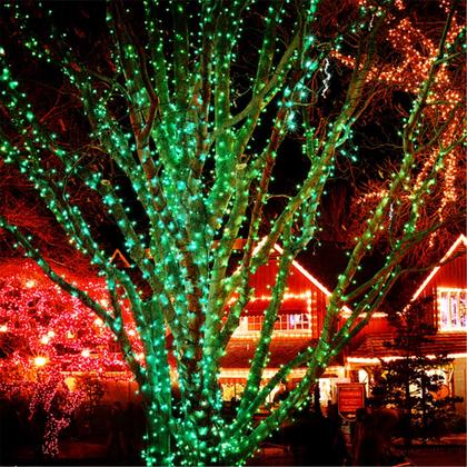 Imagem de String Lights HOME LIGHTING 200 LED 20m verde 8 modos 110V
