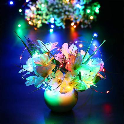 Imagem de String Lights RUICHEN 6m 120 LED Fairy Lights USB Multicolor