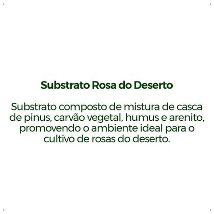 Imagem de Substrato Forth Rosa Do Deserto - 2kg