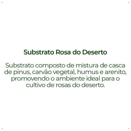 Imagem de Substrato Forth Rosa do Deserto - Saco