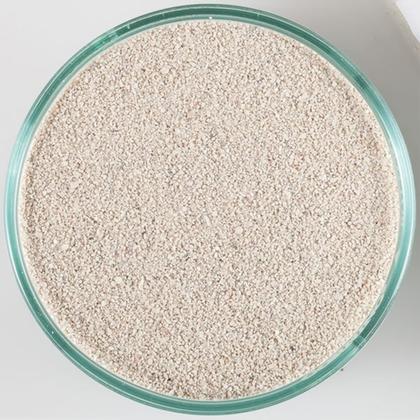 Imagem de Substrato Ocean Direct Live Caribsea 9kg Aragonita Oolite
