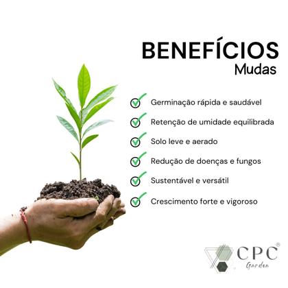 Imagem de Substrato Preparado Para Mudas Com Turfa e Perlita CPC Garden 3 L