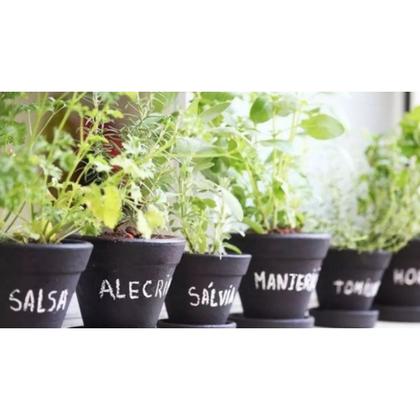 Imagem de Substrato Preparado Para Mudas Com Turfa e Perlita CPC Garden 3 L