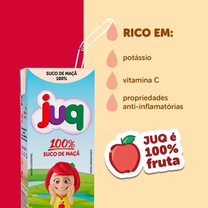 Imagem de Suco De Maçã 100% Juq 200ml Caixa C/24 Un