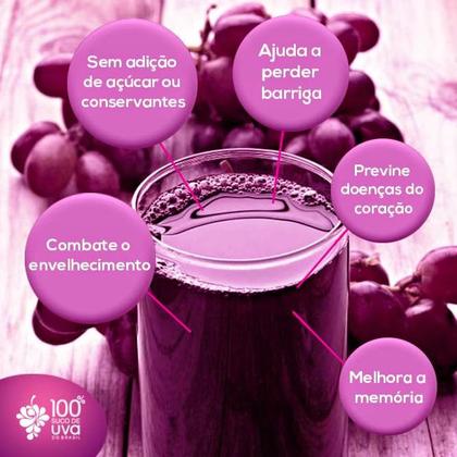 Imagem de Suco de Uva Tinto Integral Serra Gaúcha Nacional 300 ml