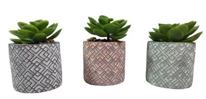 Imagem de Suculenta Artificial C/ Vasinho De Cimento Colorido - Vaso Com Suculenta