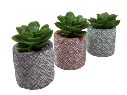 Imagem de Suculenta Artificial C/ Vasinho De Cimento Colorido - Vaso Com Suculenta