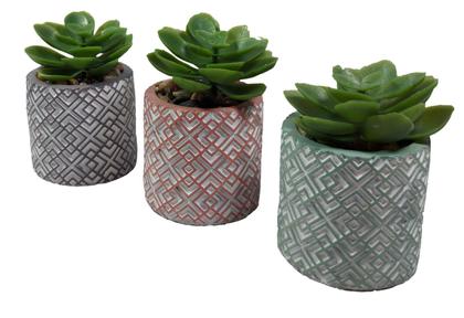 Imagem de Suculenta Artificial C/ Vasinho De Cimento Colorido - Vaso Com Suculenta