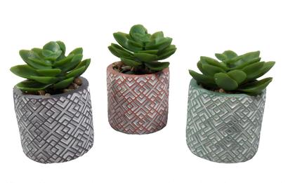 Imagem de Suculenta Artificial C/ Vasinho De Cimento Colorido - Vaso Com Suculenta
