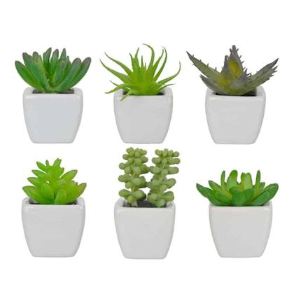 Imagem de Suculenta Artificial Mini Vaso de Cerâmica Branco