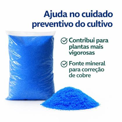Imagem de Sulfato De Cobre 1kg 99% Pureza