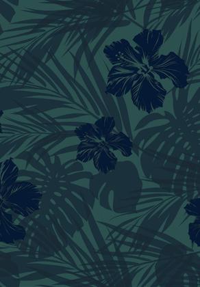 Imagem de Sunga Hawaian