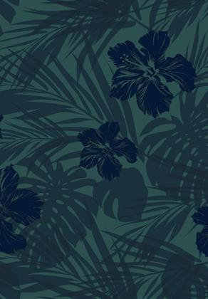 Imagem de Sunga Hawaian