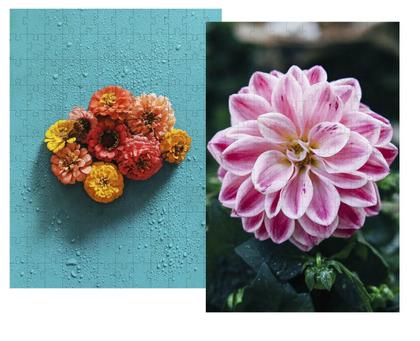 Imagem de Super Jogo Da Memória Cognitivo Lindas Flores 12 Pares Em