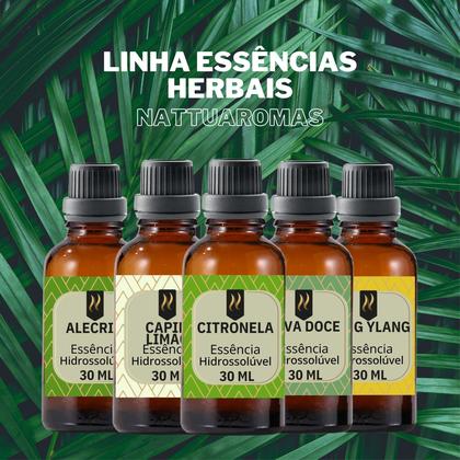 Imagem de Super Kit 5 Essências A Base Água Hidrossolúvel 30ml Difusor