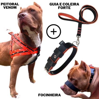 Imagem de Super Kit Coleira Peitoral Guia Pitbull Com Focinheira 