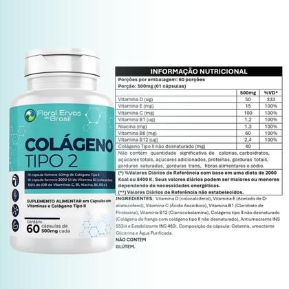 Imagem de  Suplemento Alimentar Colágeno Tipo 2 UC II 40mg Concentrado 60 Caps + Vitaminas C E D3 B1 B3 B6 B12 - Floral Ervas