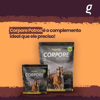 Imagem de Suplemento Corpore Potros Equino Box Pouch 10kg - Organnact