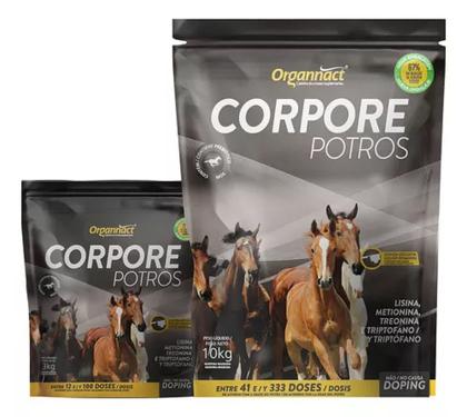 Imagem de Suplemento Corpore Potros Equino Box Pouch 10kg - Organnact