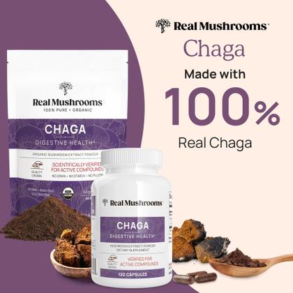 Imagem de Suplemento de Chaga em Pó - 60 Porções