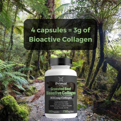 Imagem de Suplemento de colágeno de cartilagem bovina Primal Being Grassfed 120 cápsulas