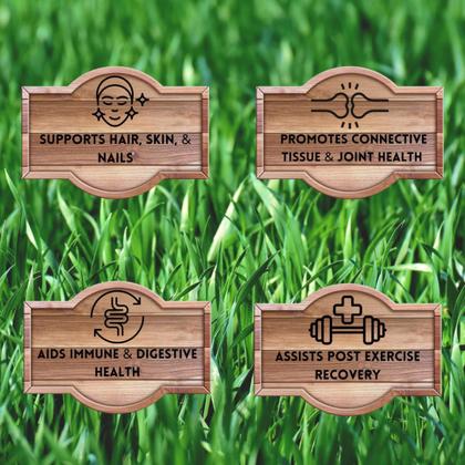 Imagem de Suplemento de colágeno de cartilagem bovina Primal Being Grassfed 120 cápsulas