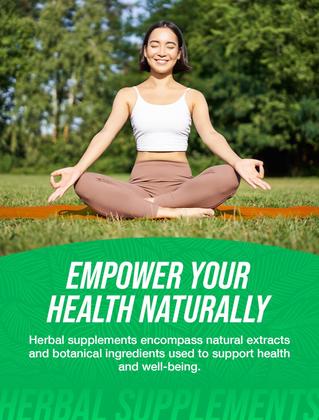 Imagem de Suplemento de ervas Suplementos a granel Extrato de raiz de gengibre em pó 100g