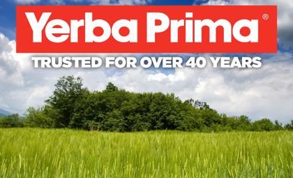 Imagem de Suplemento de fibra dietética Yerba Prima Psyllium Whole Husks