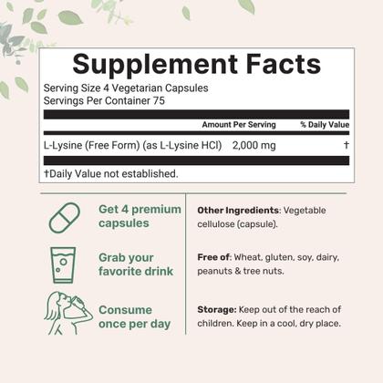 Imagem de Suplemento de microingredientes L-Lisina pura 2.000 mg 300 cápsulas