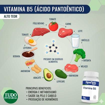 Imagem de Suplemento de Vitamina B5 280mg 60 Cápsulas - ApisNutri