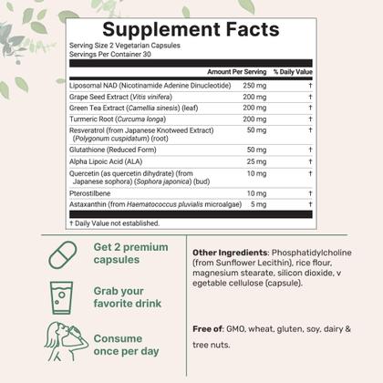 Imagem de Suplemento nutricional: microingredientes: lipossomal NAD+ 1000 mg, 60 cápsulas vegetais