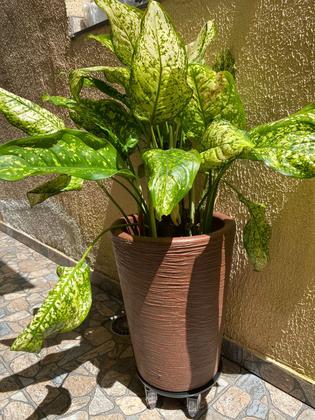 Imagem de Suporte 35cm P/vaso C/ Rodas De Gel Anti Risco Suporta 300kg PLANTAS E VASOS BOM