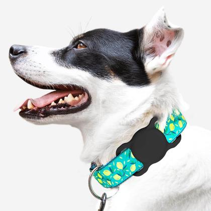 Imagem de Suporte de coleira para cães SWINCHO Airtag para Apple Airtags, pacote com 2