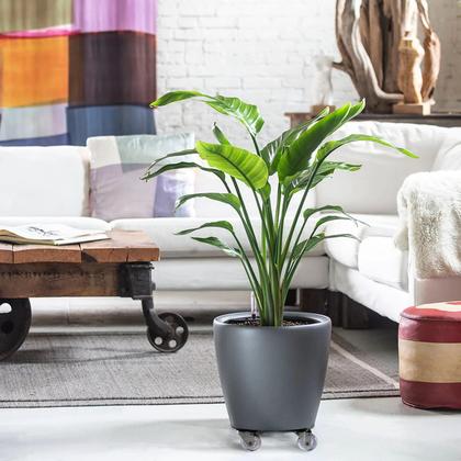 Imagem de Suporte Para Vasos De Plantas 45cm Rodas Em BPGEL Preto Craqueado
