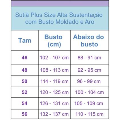 Imagem de Sutiã Plus Size Alta Sustentação com Busto Moldado e Aro