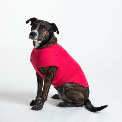 Imagem de T-Shirt Calabria Pet - Pink - G