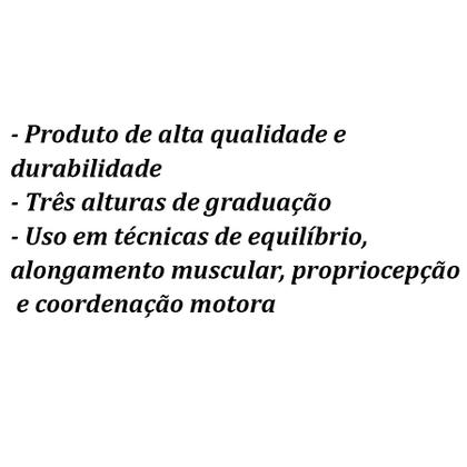 Imagem de Tábua de Propriocepção com 3 Regulagens Zapmédica
