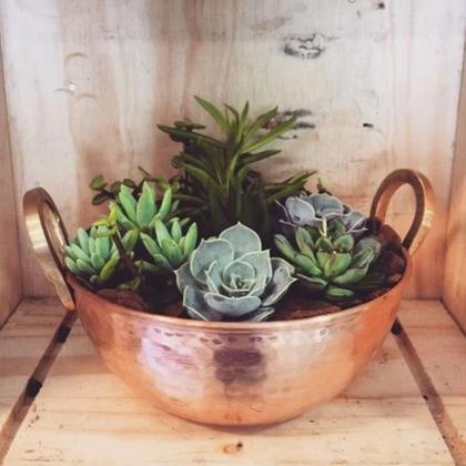 Imagem de Tachinho Mini De Cobre Puro Servir E Decorar Com Alças 12Cm