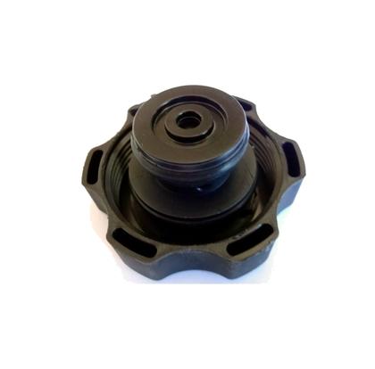 Imagem de Tampa reservatorio de agua radiador cobalt onix spin prisma cruze sonic s10