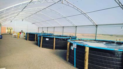 Imagem de Tanque Circular Geomembrana 4.900 litros