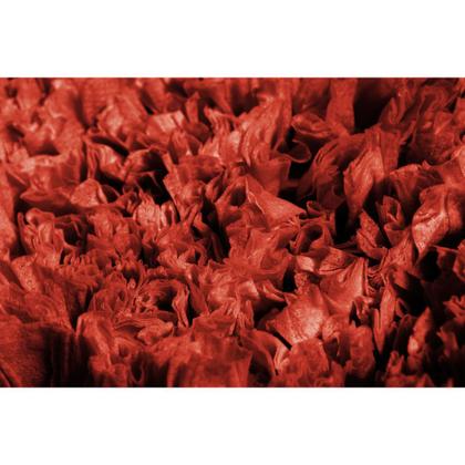 Imagem de Tapete De Quarto Retangular Vizapi Satara Vz1130 100X150Cm Vermelho Flame